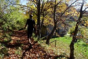 Dalla Culmine di S. Pietro allo Zuc di Maesimo sul sentiero alto estivo 21 DOL il 19 ottobre 2015   - FOTOGALLERY